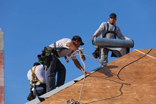 Best Roof Gutter Cleaning  in Haughton, LA